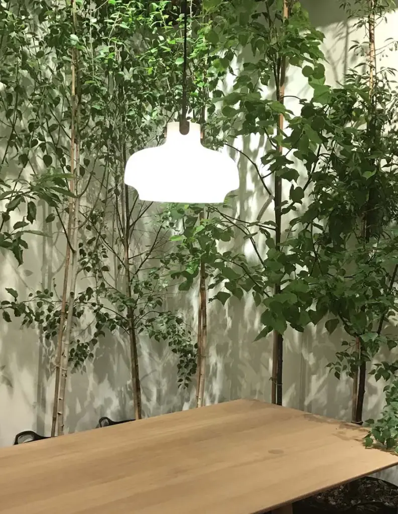 Biophilic design