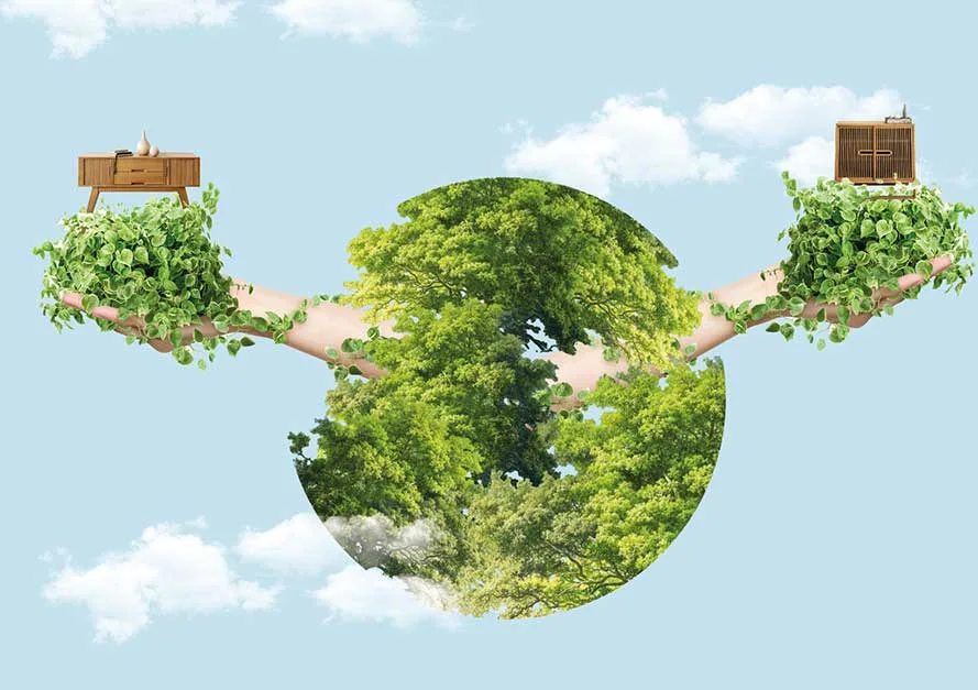 bcorp for small creative businesses