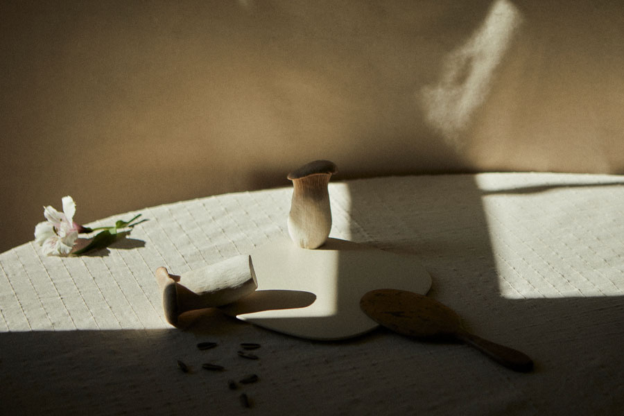 Nocera and ferri still life photography series called blurred memories