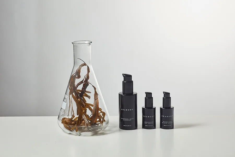 seabody circular skincare and beauty brand