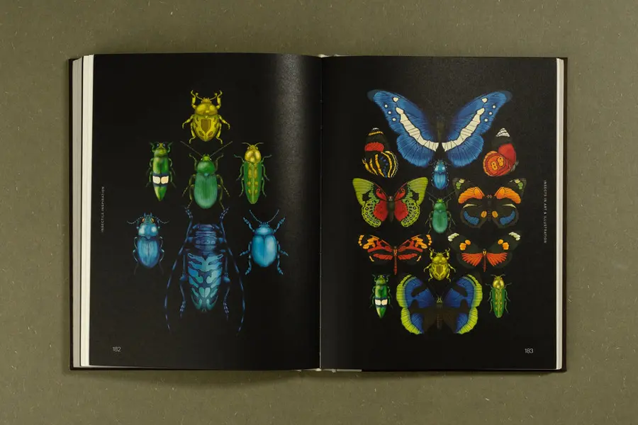Insectile Inspiration book