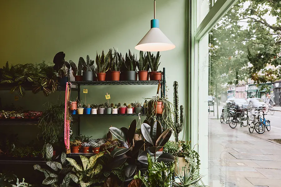 London terrariums in Shoreditch
