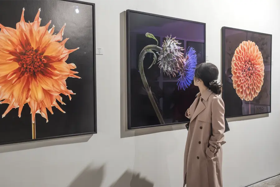 flux exhibition as featured by estila